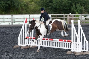 Class 5 - Fences not above 2'6